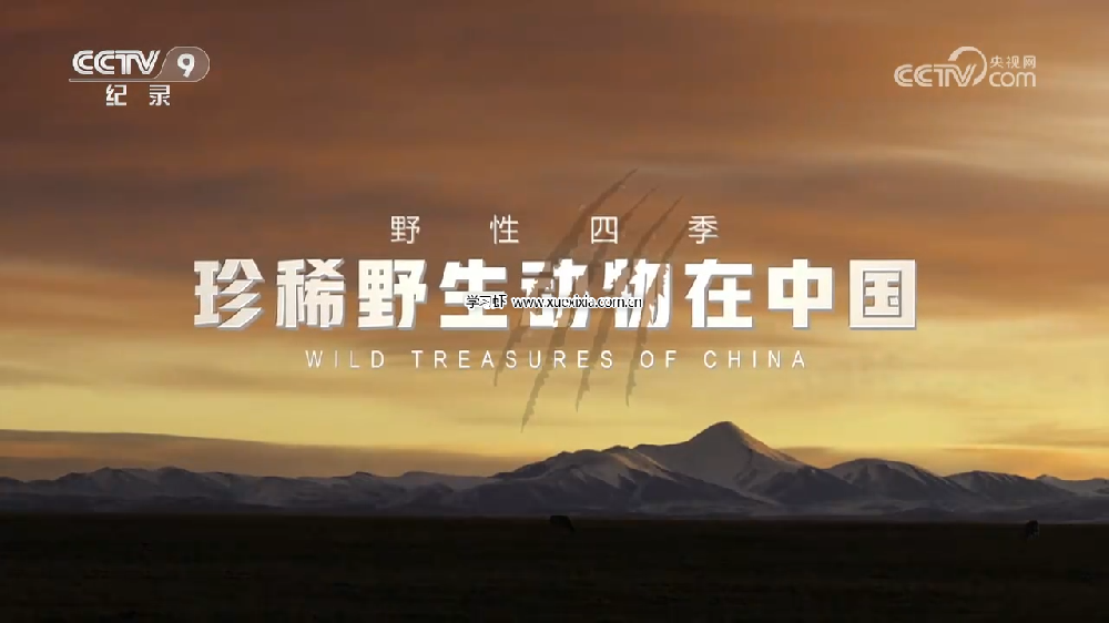 央視紀(jì)錄片《野性四季：珍稀野生動(dòng)物在中國》全5集百度網(wǎng)盤下載