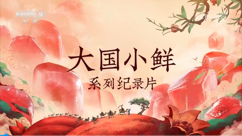 央視紀(jì)錄片《大國(guó)小鮮—石榴說》全集網(wǎng)盤下載