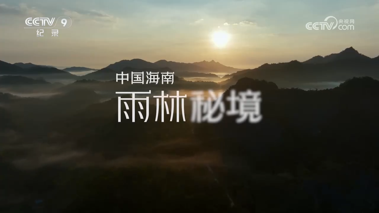 央視紀(jì)錄片《中國海南·雨林秘境》全集網(wǎng)盤下載